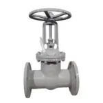 Засувка 30с64нж Ру25