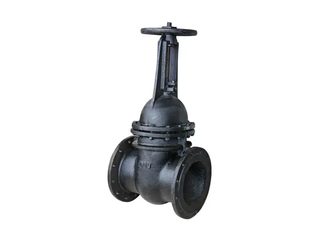 Засувка чавунна 30ч6бр Ду300 ру10 фото