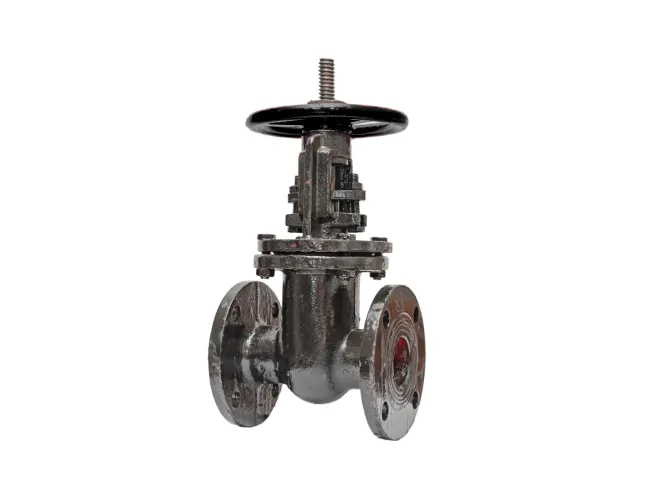 параллельная двухдисковая задвижка 30ч6бр Ду 80 с выдвижным шпинделем