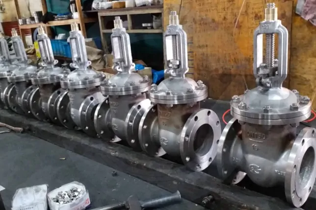 клиновая двухдисковая стальная задвижка 30с941нж Ду-80 с выдвижным шпинделем