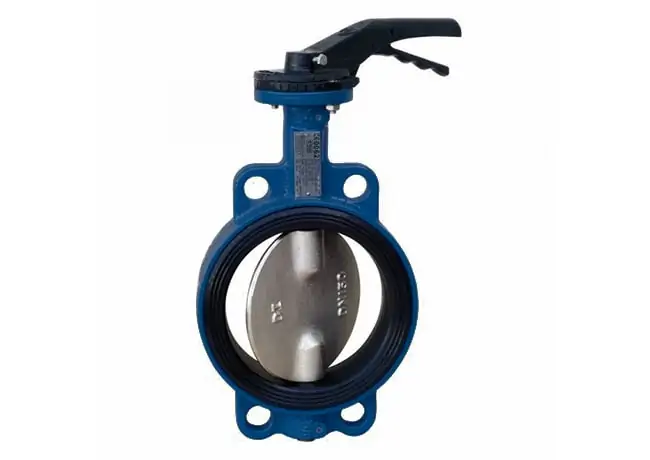 Засувка батерфляй Ду-100 Ру-10 поворотна дискова фото